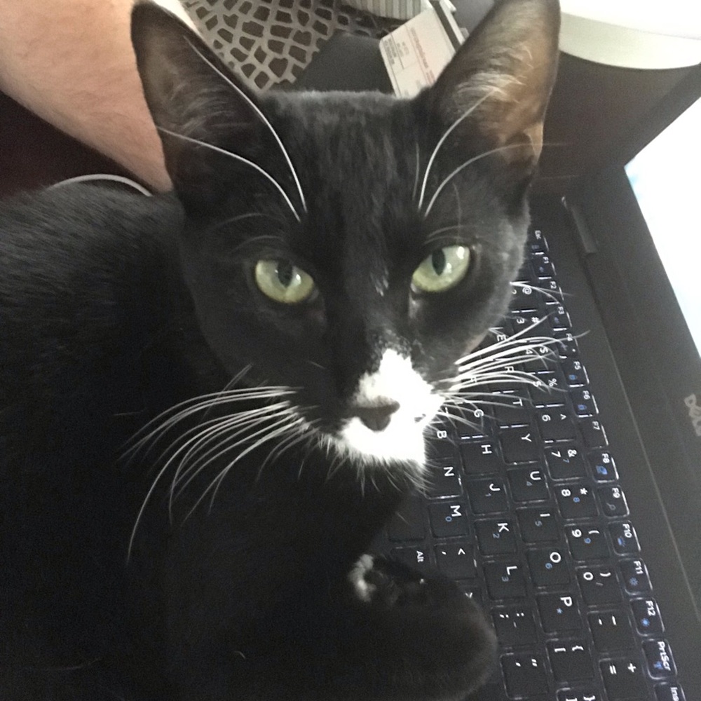 Meet your Posher, Justin